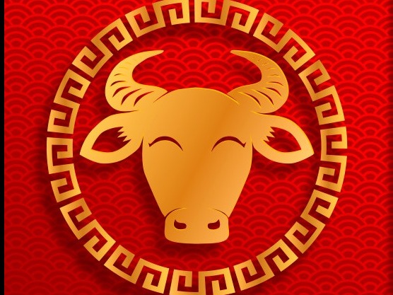 Johope new year holiday notice