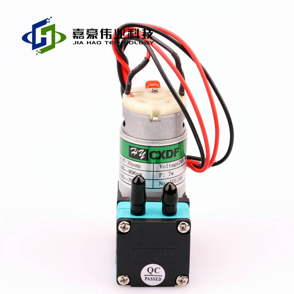 30 brushless air pump